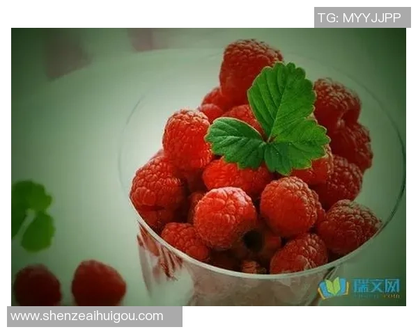 足球巨星的励志名言与成功背后的精神力量探析